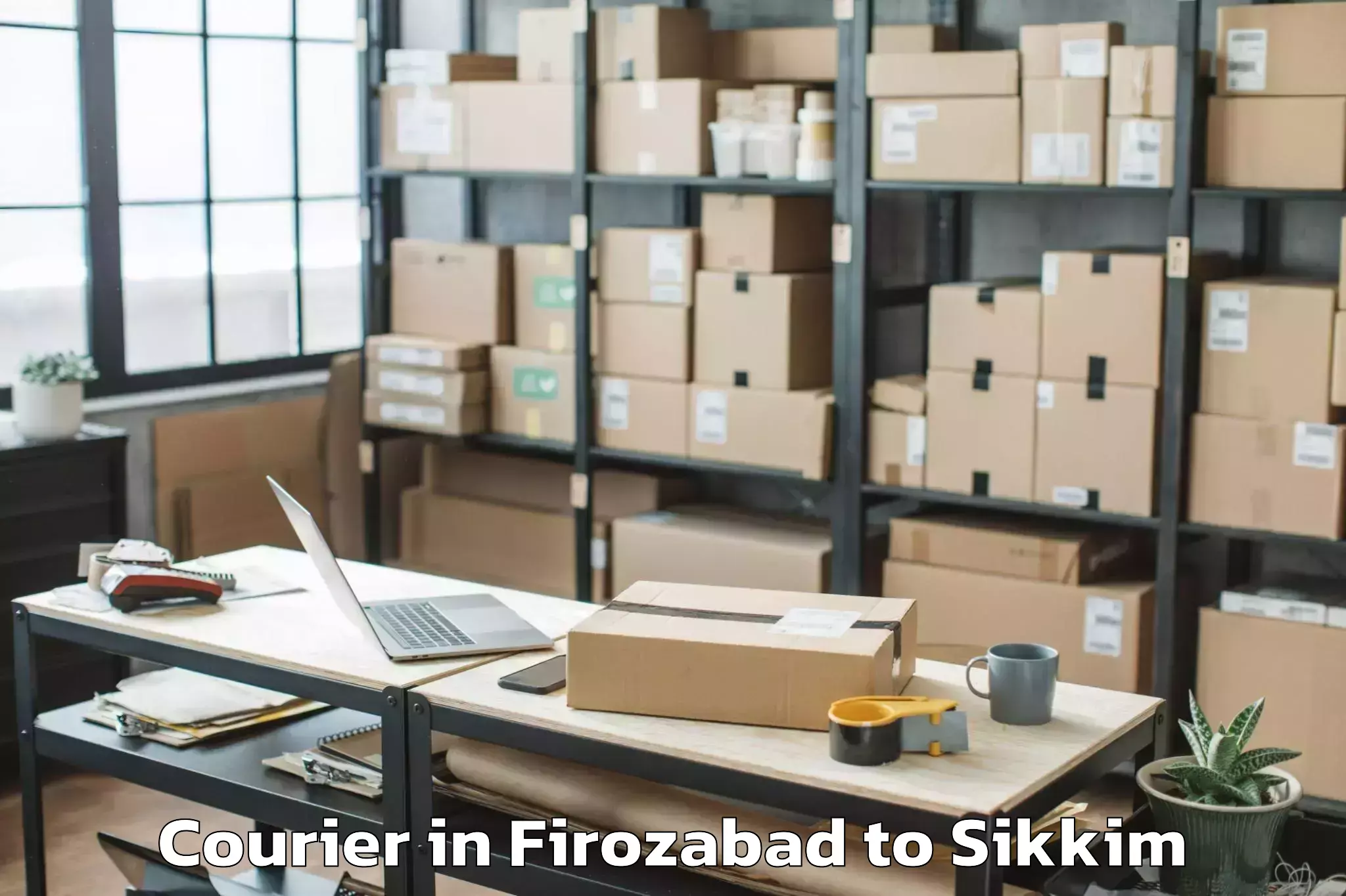 Leading Firozabad to Mangan Courier Provider